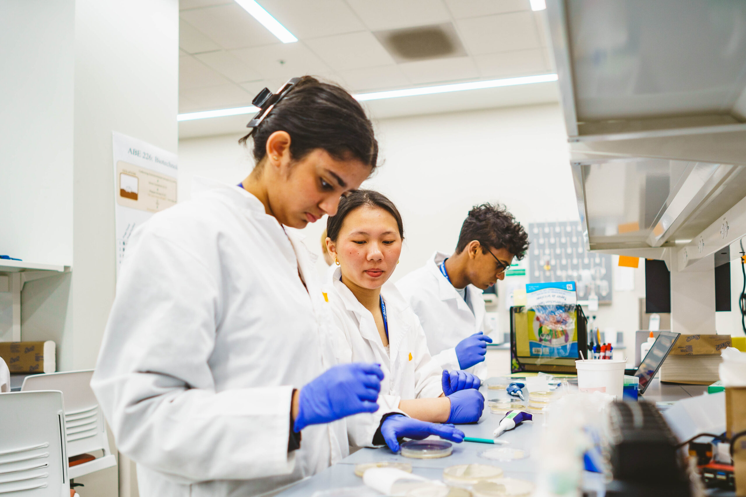 Three scientists in lab coats and gloves work with petri dishes in a laboratory setting.
