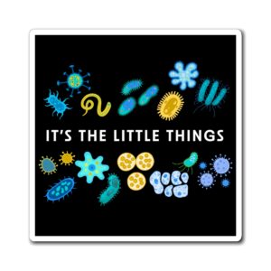 Magnet — “It’s the Little Things”